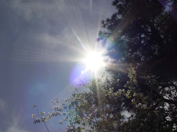 Montanas-Flathead-Lake0602