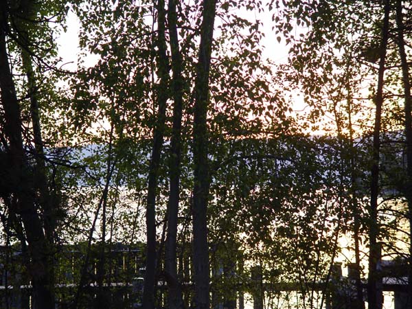 Montanas-Flathead-Lake0621