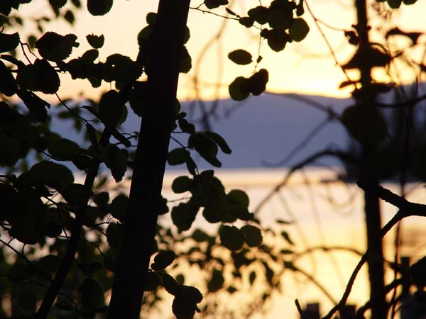 Montanas-Flathead-Lake0622