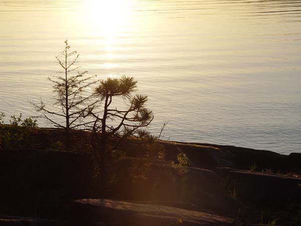 Montanas-Flathead-Lake0628