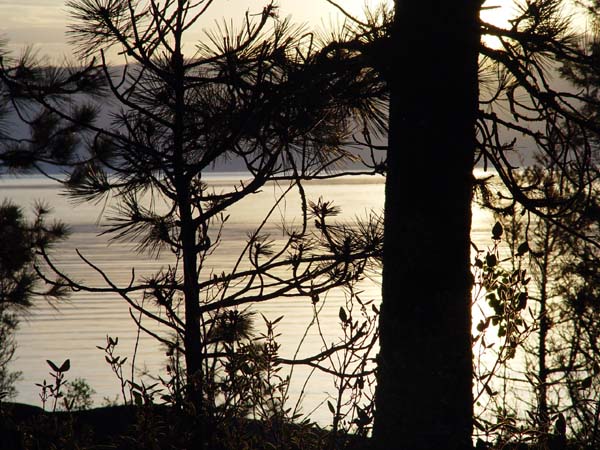 Montanas-Flathead-Lake0629