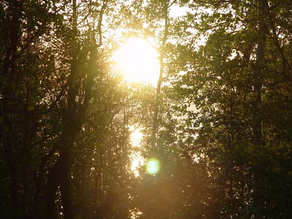 Montanas-Flathead-Lake0632