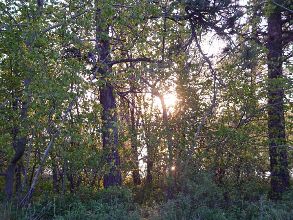 Montanas-Flathead-Lake0634