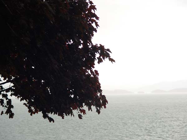 Montanas-Flathead-Lake0639