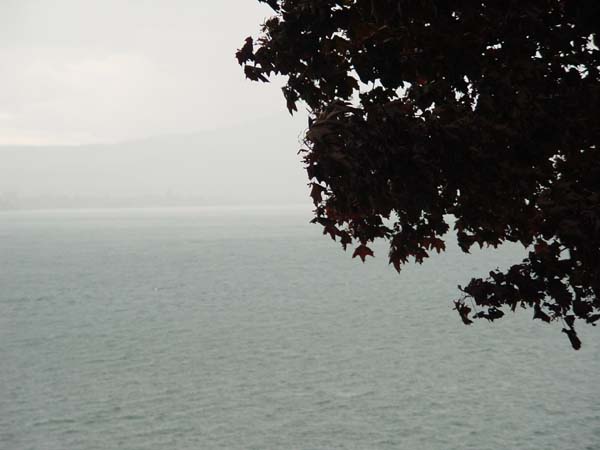 Montanas-Flathead-Lake0641