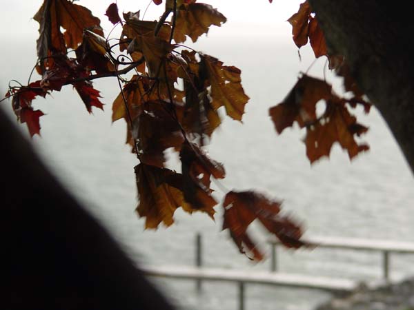 Montanas-Flathead-Lake0642