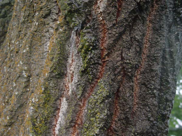 Montanas-Flathead-Lake0647