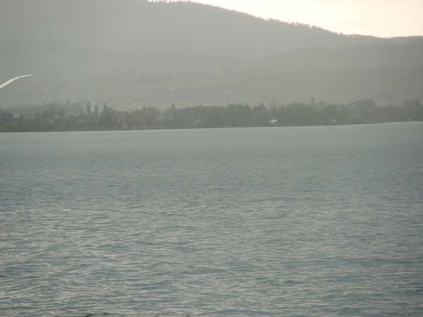 Montanas-Flathead-Lake0648