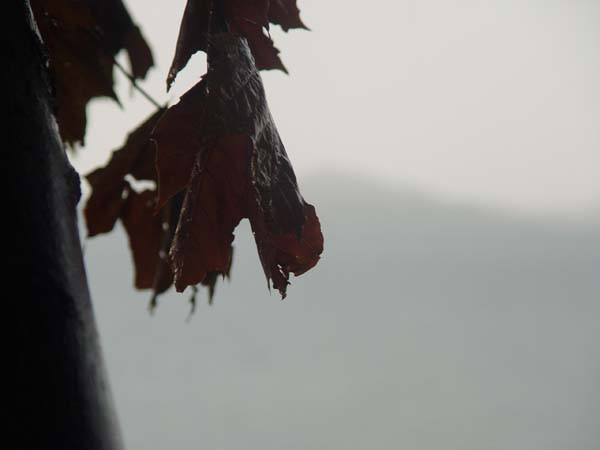 Montanas-Flathead-Lake0650