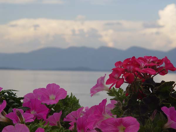 Montanas-Flathead-Lake0656