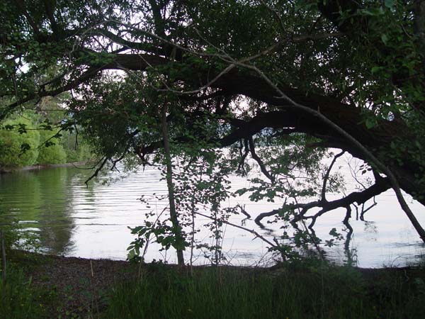 Montanas-Flathead-Lake0675