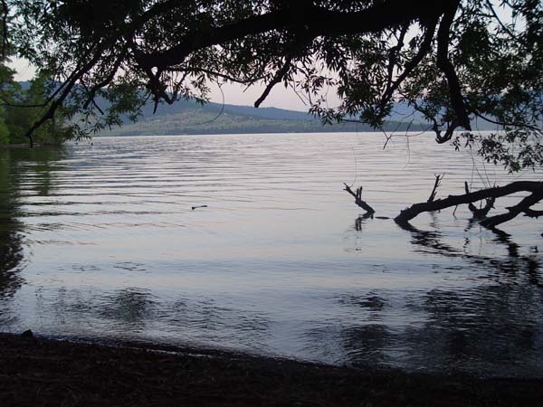 Montanas-Flathead-Lake0676
