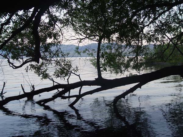 Montanas-Flathead-Lake0677