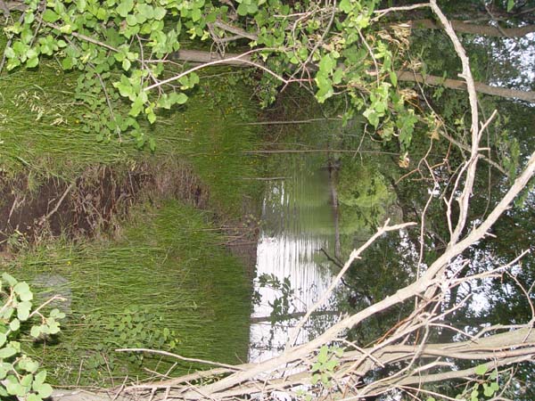 Montanas-Flathead-Lake0678