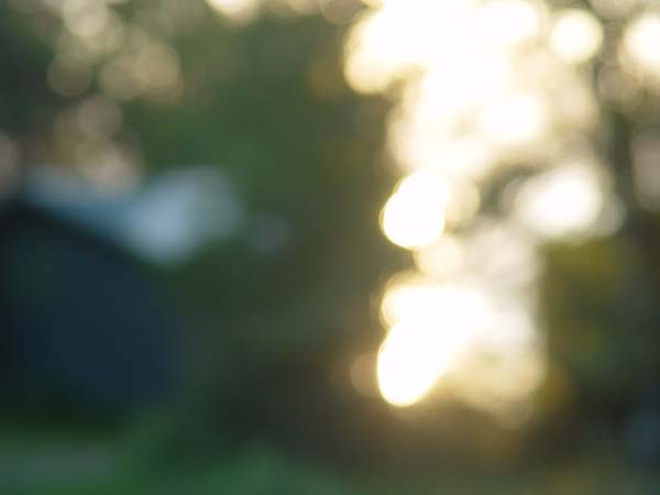 Montanas-Flathead-Lake0680