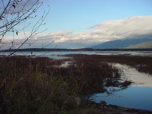 Montanas-Flathead-Lake0687
