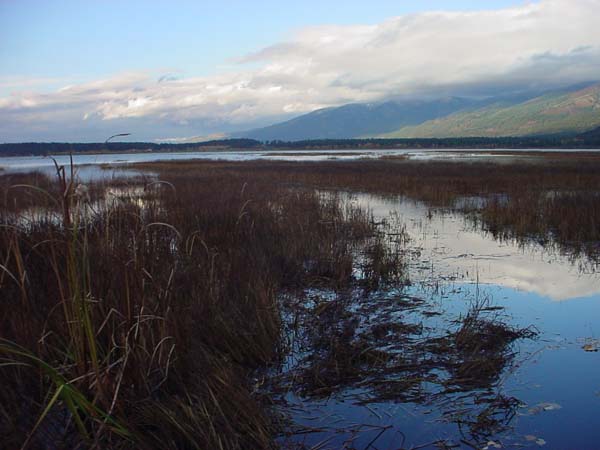 Montanas-Flathead-Lake0688