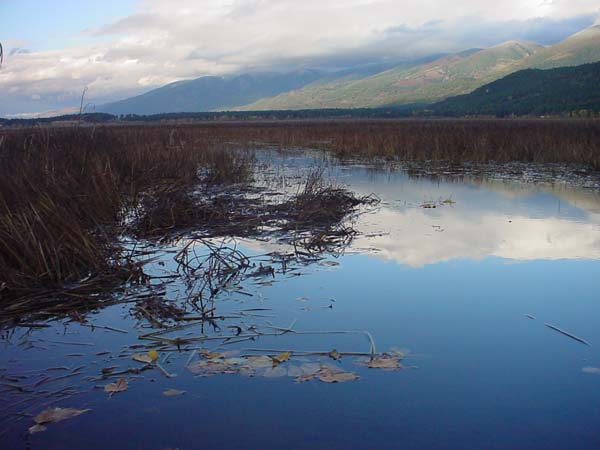 Montanas-Flathead-Lake0689
