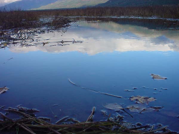 Montanas-Flathead-Lake0690