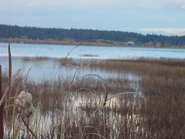 Montanas-Flathead-Lake0692