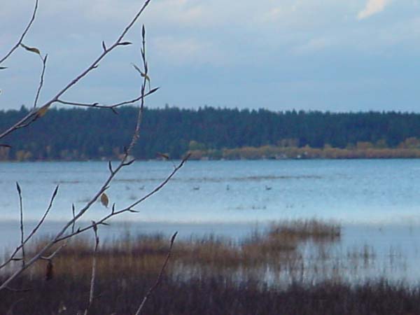 Montanas-Flathead-Lake0693