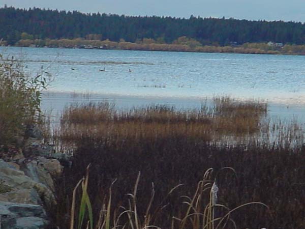 Montanas-Flathead-Lake0694