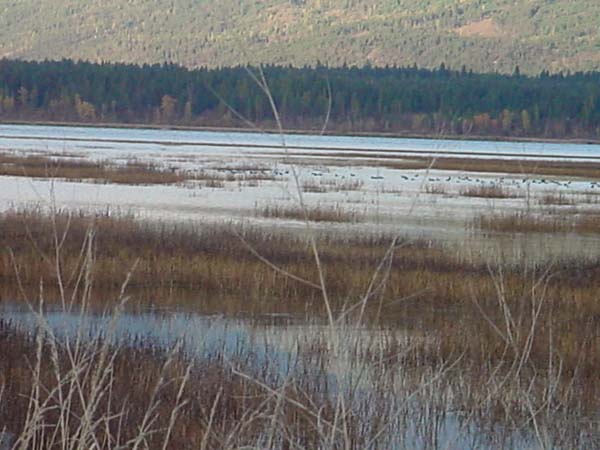 Montanas-Flathead-Lake0695