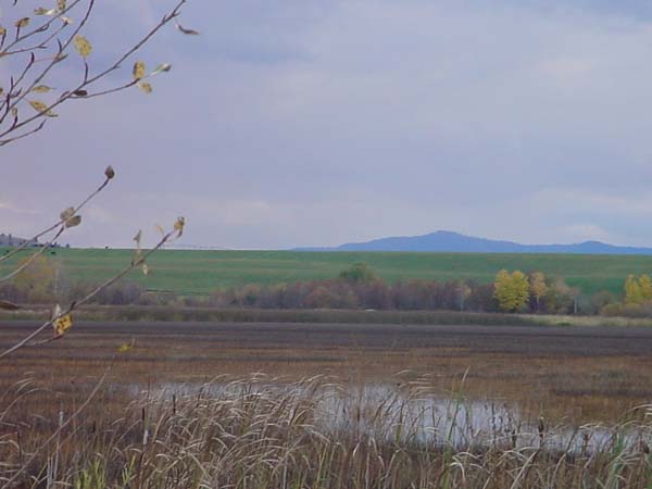 Montanas-Flathead-Lake0696