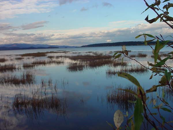 Montanas-Flathead-Lake0700