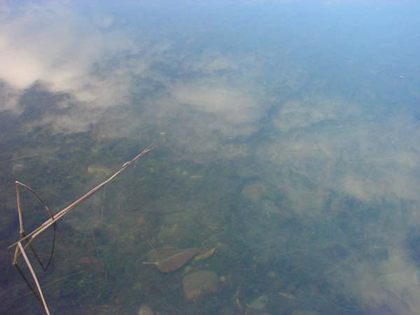 Montanas-Flathead-Lake0702