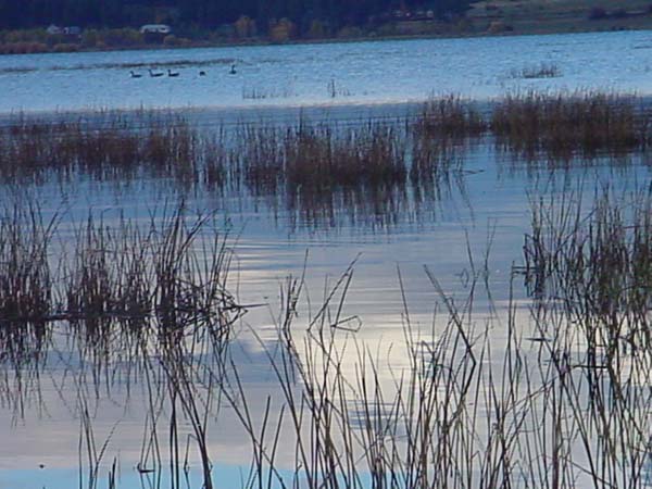 Montanas-Flathead-Lake0704