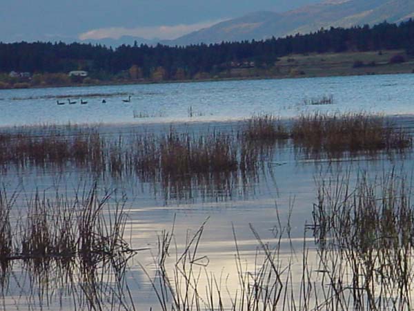 Montanas-Flathead-Lake0705