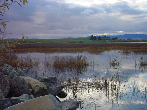 Montanas-Flathead-Lake0706