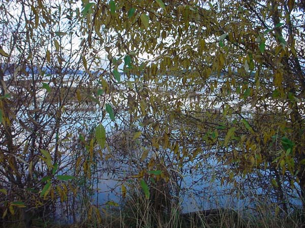 Montanas-Flathead-Lake0709