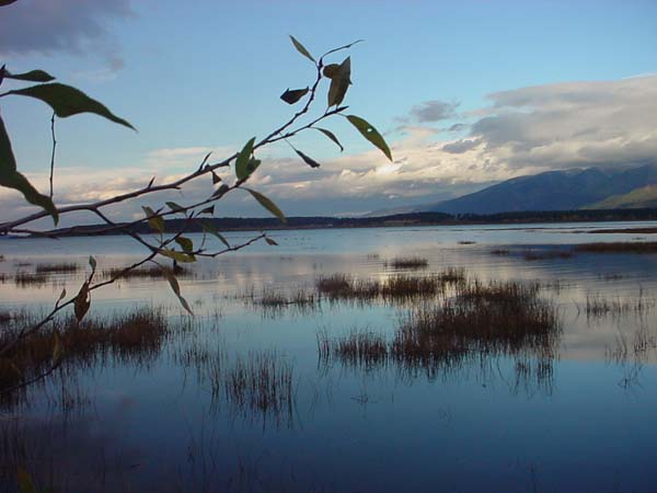 Montanas-Flathead-Lake0711
