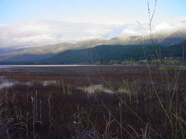 Montanas-Flathead-Lake0715