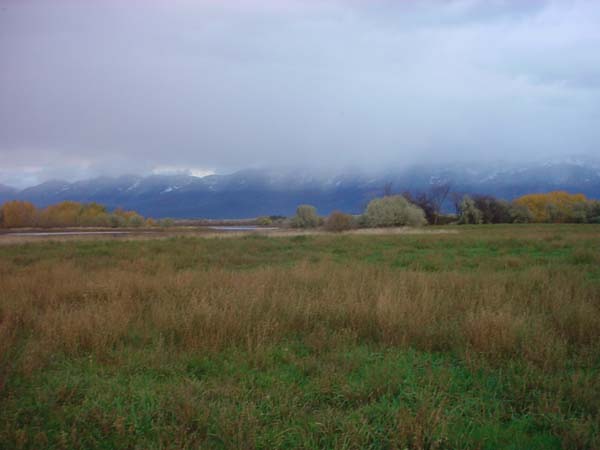 Montanas-Flathead-Lake0736