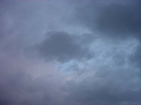 Montanas-Flathead-Lake0742