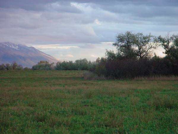 Montanas-Flathead-Lake0748