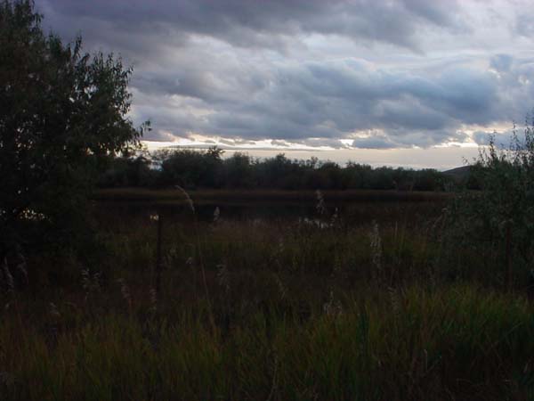 Montanas-Flathead-Lake0759