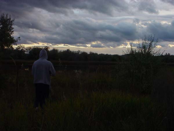 Montanas-Flathead-Lake0760