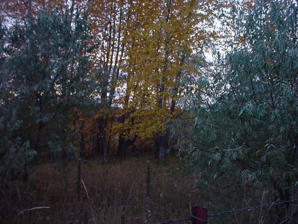 Montanas-Flathead-Lake0761