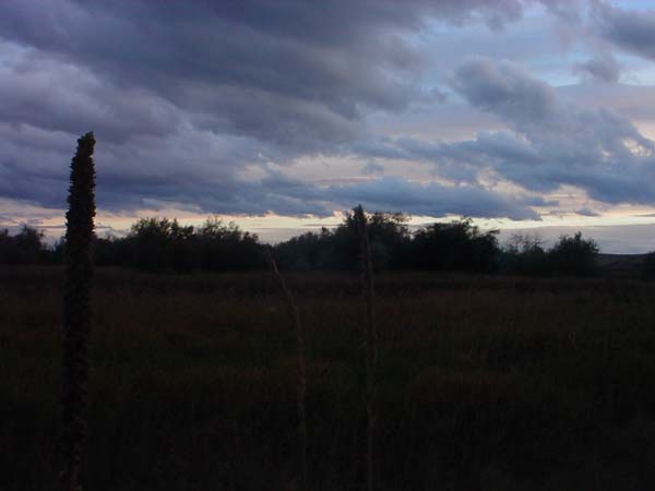 Montanas-Flathead-Lake0764