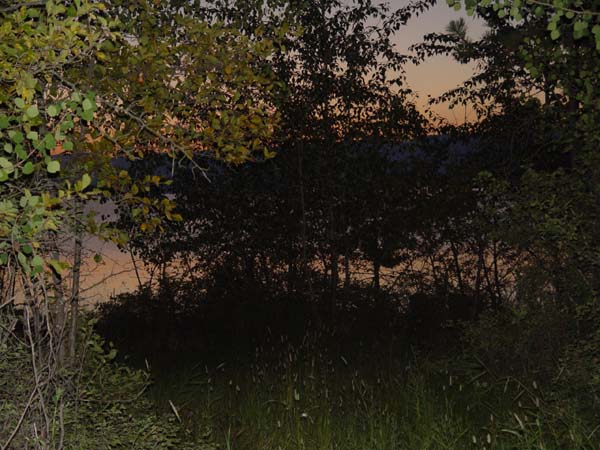 Montanas-Flathead-Lake0779