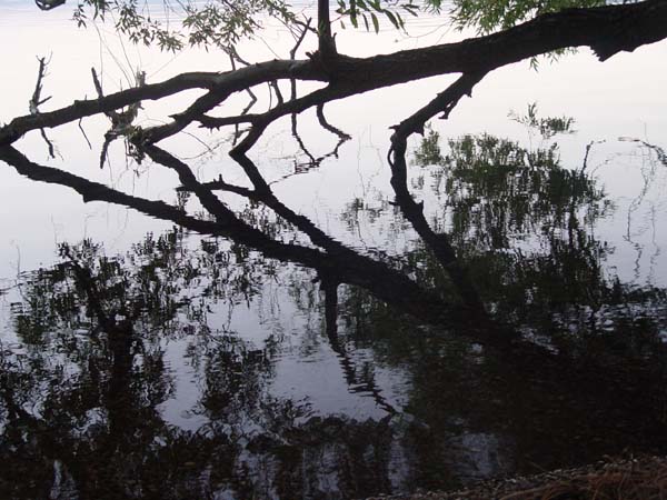 Montanas-Flathead-Lake0812