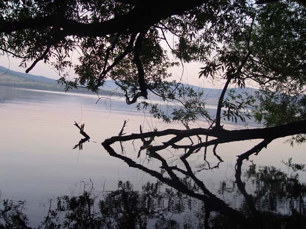 Montanas-Flathead-Lake0815
