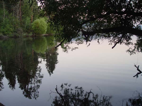 Montanas-Flathead-Lake0823