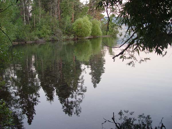 Montanas-Flathead-Lake0824