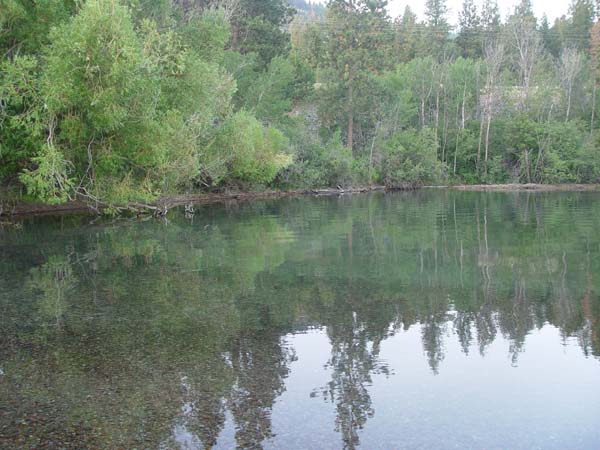 Montanas-Flathead-Lake0833