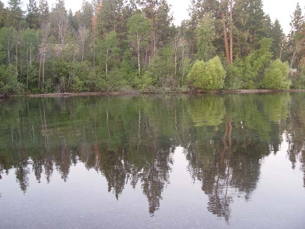 Montanas-Flathead-Lake0835